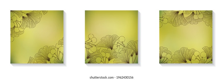 Set of square blurred green frames with copy space for social media posts ginkgo leaves and berries line art