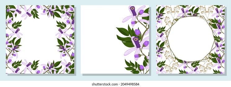 Set of square botanical template for greeting cards or invitations. Chinaberry flowers. Place for your text. Hand drawn vector illustration