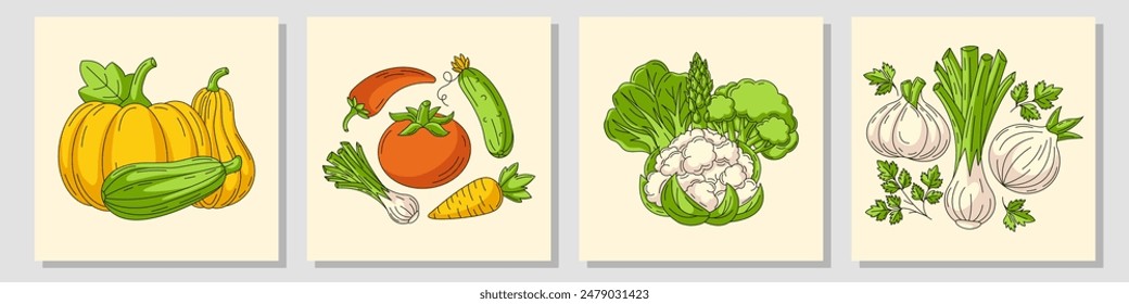 Set of square card with various compositions of seasonal vegetables. Fresh and healthy farm veggies, organic product, eco natural produse, harvesting. For poster, menu, flyer, cover, social media