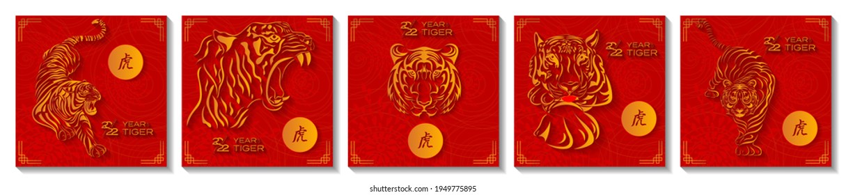 Set of square cards with tigers. Oriental zodiac symbol of 2022, year of the tiger.  Hieroglyph means Tiger. Suitable for social media post, mobile app, banner design and web or internet ad. 