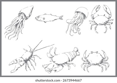 Set Square design Background Pattern peixe de frutos do mar, camarão e caranguejo para embalagem de alimentos, cartões de saudação e postagens de mídia social