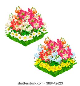 Set of square flowerbeds with multicolored lilies and yellow daffodils. Vector illustration.