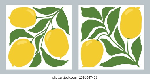 Set of square fruit posters in minimalist style. Modern botanical print with hand drawn lemons and leaves. . Vector illustration
