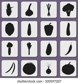 Set of square icons with shadows silhouettes of vegetables: corn, garlic, asparagus, broccoli, brussels sprout, cucumber, zucchini, celery, leek, eggplant, chili, pod beans, tomato, onion and pumpkin.