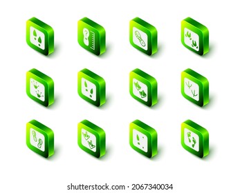 Set Square measure foot size, Human footprints shoes, Wild boar paw, Dove, Seagull,  and Goose icon. Vector