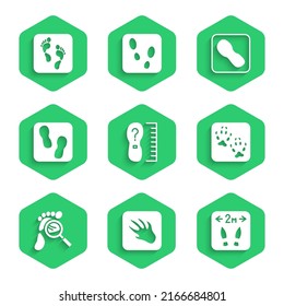 Set Square measure foot size, Alligator crocodile footprint, Safe distance, Fox paw, Magnifying glass with footsteps, Human footprints shoes,  and  icon. Vector