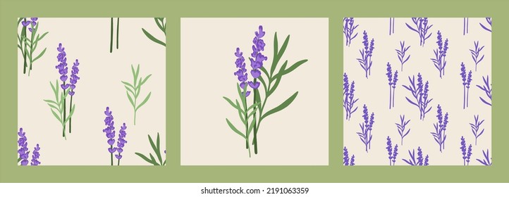 Set of square posters with lavender, seamless pattern, hand painted. Seamless pattern for fabric, paper and other print and web projects.