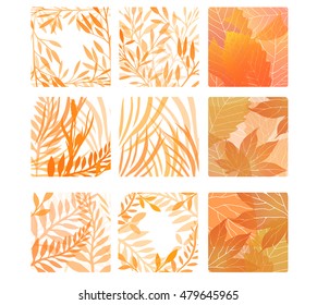 Set of square shapes with autumn leaves and herbs. Vector design elements.