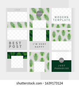 Set of square templates for design of social networks, story and print with windows for images. Green tropic fan leaf background. Beautiful palm branches. Cozy light design.