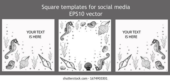 Conjunto de plantillas cuadradas para los medios sociales. Marcos con habitantes submarinos. Caballo de mar, conchas y bordes de doodle dibujados a mano con algas. Ilustración vectorial de material aislada en fondo transparente.
