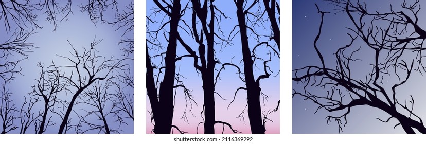 A set of square vector tree branches