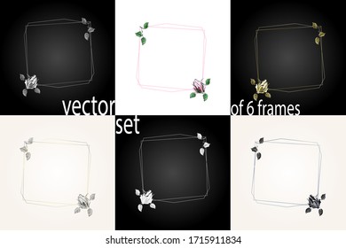 Set of square vintage frames. Vector illustration with hand-drawn roses on a white and black backgrounds. Use for decoration greeting cards, invitations, etc.