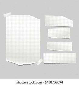 Set of squared torn note, notebook paper strips stuck on grey background. Vector illustration