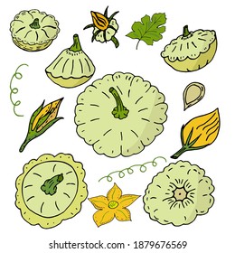 Juego de calabazas, flores amarillas, brotes, hojas, bigote en forma de doodle sobre un fondo blanco. Ilustración vectorial, dibujo a mano. Verduras para una dieta saludable.