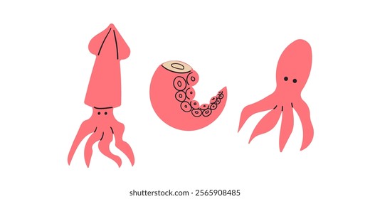 Set of Squid and calamar isolated on white background. Fresh seafood, raw squid fillet ready for cooking. Vector illustration in cartoon flat style.