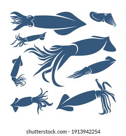 Set of Squid design vector illustration, Creative Squid logo template, icon symbol