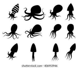 Set of Squid icons in silhouette style, vector