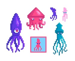 A Set Of Squid In Pixel Art Style. Sea Characters Different Forms And Sizes. Vector Illustration.