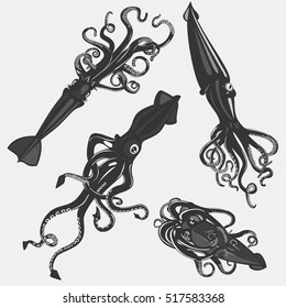 Set of squid tattoo or calamary mascot, mollusk. Isolated sea or ocean life cartoon fish with tentacles. Underwater animal, swimming cuttlefish tattoo, zoology or biology, sea life theme