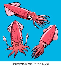 Set of squids for premium vector