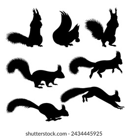 Set of squirrel black silhouettes in different poses and motions sitting, standing, eating, running, jumping. Vector illustration isolated on a white background