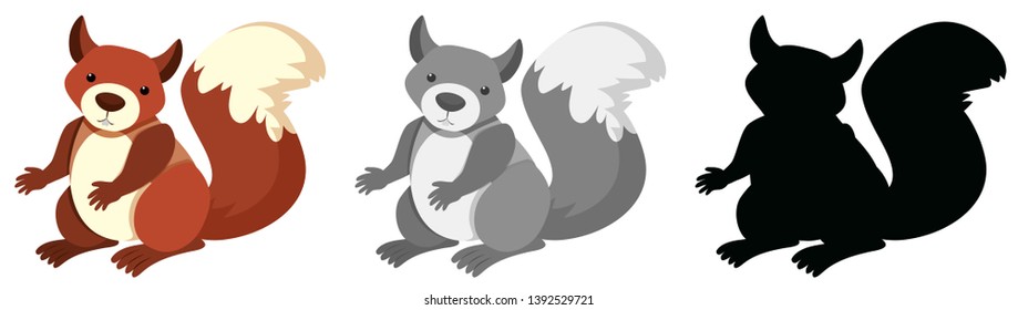 Set of squirrel character illustration