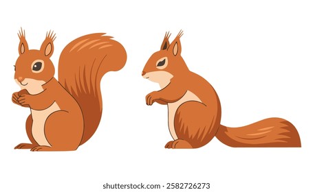 Set of Squirrel Icons Wild Forest Mammals with Fluffy Tails