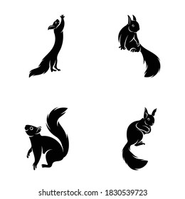 Conjunto de ilustración vectorial de silueta de ardilla, diseño creativo