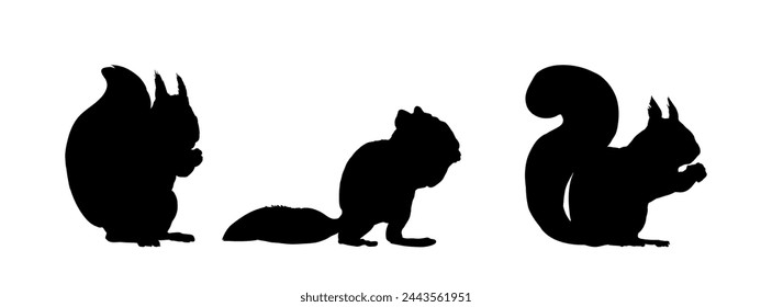 Conjunto de ilustración vectorial de silueta de ardilla	