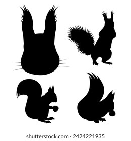 Set of squirrel silhouettes in different poses eating nuts, and standing on their hind legs. Icon collection. Vector illustration isolated on a white background