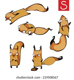 Set of squirrels cartoon. Squirrels. Vector illustration