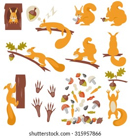 Set of squirrels cartoon. Vector illustration 