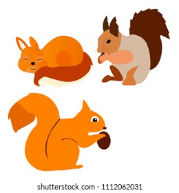 a set of squirrels who eat a nut and sleep redheads.