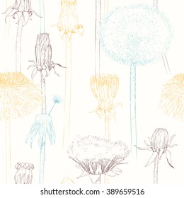 Set of stages of blossoming and withering of dandelion. Isolated Silhouette with flying dandelion buds on white background. Hand drawn vector illustration, realistic sketches.