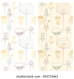 Set of stages of blossoming and withering of dandelion. Isolated Silhouette with flying dandelion buds on white background. Hand drawn vector illustration, realistic sketches.