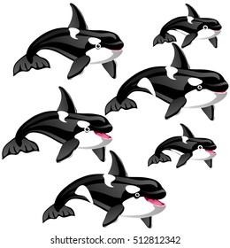 The set of stages of a growing killer whale (orca) isolated on a white background. Vector illustration.