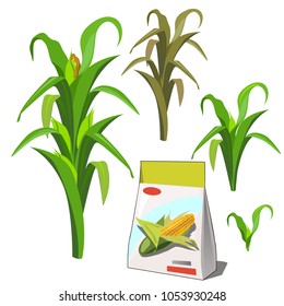 Set of stages of life of a agricultural plant corn isolated on white background. Paper packaging for storage of seeds. Vector cartoon close-up illustration.