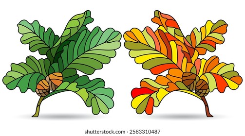 A set of stained glass illustrations with oak branches , isolated elements on a white background