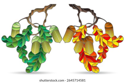 A set of stained glass illustrations with oak branches , isolated elements on a white background