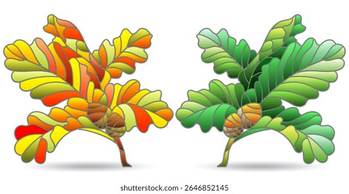 Um conjunto de ilustrações de vitrais com ramos de carvalho, elementos isolados sobre um fundo branco