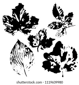 Set with stamp leaves. Objects isolated on white. Black and white.