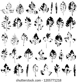 Set with stamp leaves. Objects isolated on white. Black and white. Collection of autumn leaves imprints. Black grunge elements, ink, objects for the design of covers, cards, posters for advertising. 