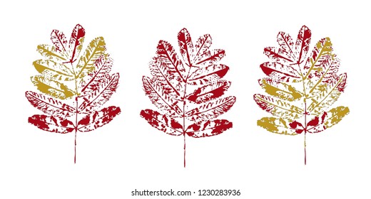 Set with stamp leaves. Objects isolated on white. Black and white.Vector.Design element for logo, label, emblem, sign, poster, menu, t shirt
