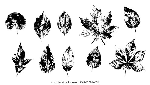 Set with stamp leaves. Objects isolated on white, vector black on white illustration.
