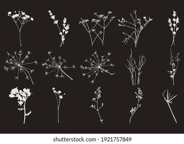 Set of stamps of field grass and flowers on a black background