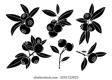 Set of stamps,silhouettes of forest seasonal berries blueberries.Vector graphics.