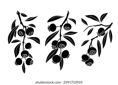 Set of stamps,silhouettes of forest seasonal berries blueberries.Vector graphics.