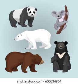 Conjunto de osos de pie, sentados y llenos aislados en azul. Imagen vectorial de vista lateral de oso blanco y marrón, pesada panda, peluche norteamericano con cuello de miel y koala gris en rama de árbol.