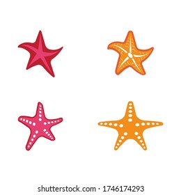 Set Star Fish Logo Template vector icon illustration design