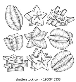 Set of star fruit or Carambola fruit hand drawn elements botanical illustration